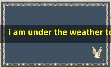 i am under the weather today今天天气不好